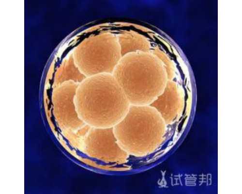 三代试管代怀-试管移植确定怀孕后还需要抽几次血-移植成功后要验血几次