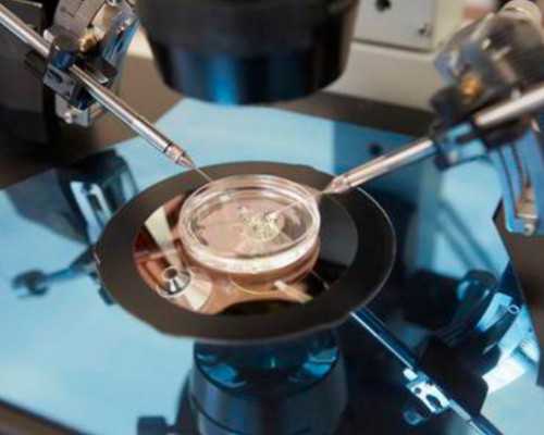 国内供卵试管qq群,广州三代试管最好的私立医院私人三代试管费用