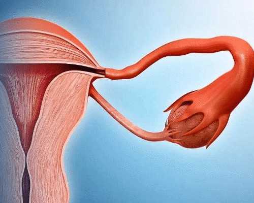 国内供卵哪里有机构,南通大学附属医院能开展试管婴儿技术吗？