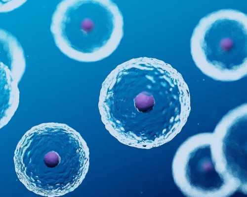 国内代孕中心哪家靠谱,试管怀孕后检查项目,试管婴儿检查项目时间表