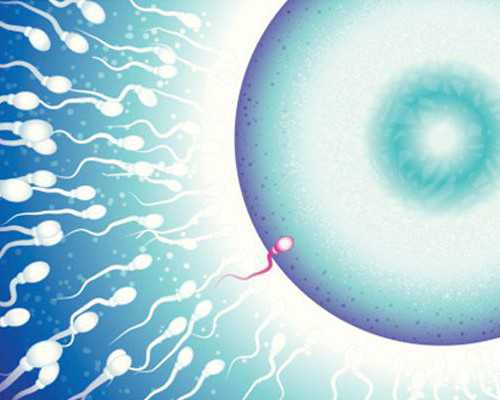 国内供卵一般多少钱,绍兴供卵试管婴儿个人空间