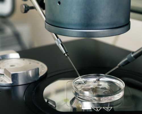 国内地下供卵费用,广州三代私立试管包男孩医院排名？附详细选性别方法？