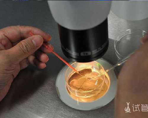 代生代怀-希望怀龙凤胎，泰国第三代试管能行吗？