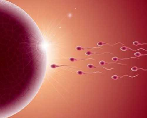 国内代生孩子医院,1-3月长胎食物排行榜，红薯、榴莲当属补胎之王